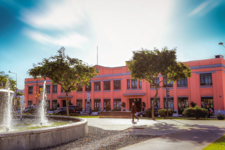 Mercado do Livramento