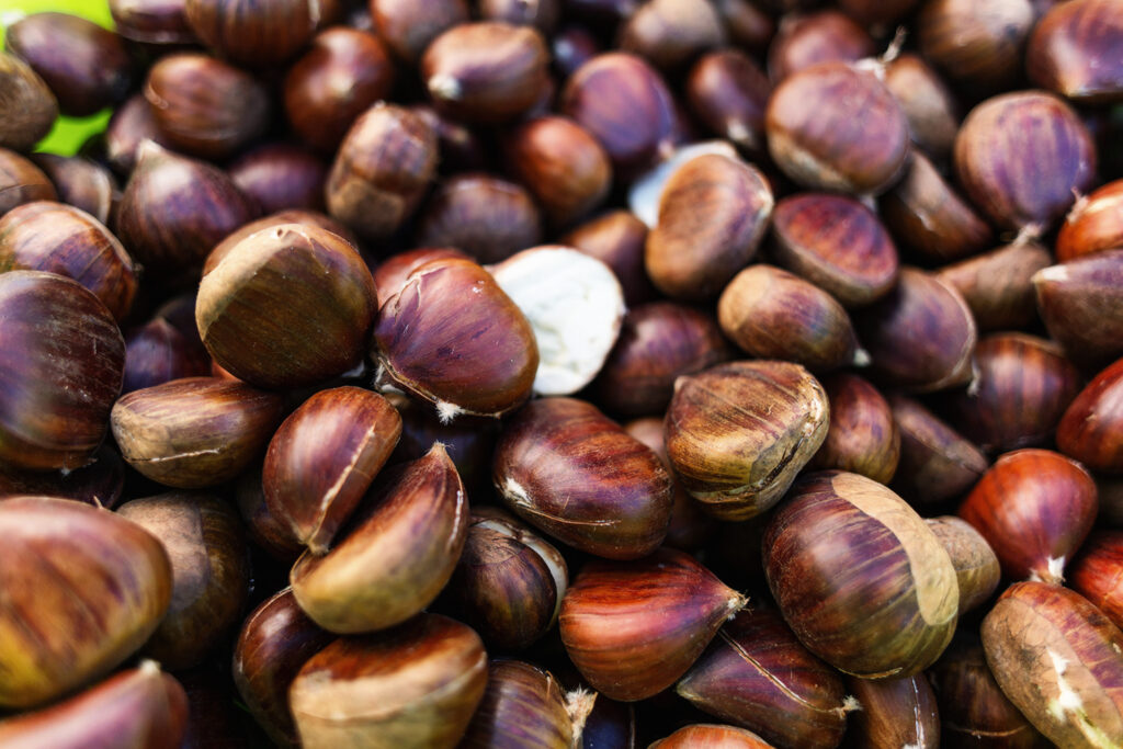 Covid-19 | Magusto P'la Baixa e P'lo Troino - cancelamento