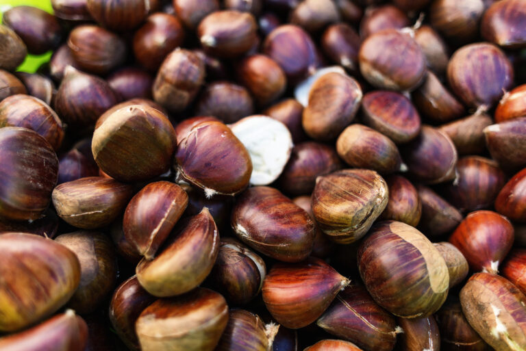 Covid-19 | Magusto P'la Baixa e P'lo Troino - cancelamento