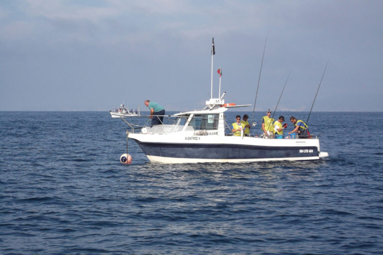 Campeonato Mundial de Pesca Desportiva - Os Amarelos