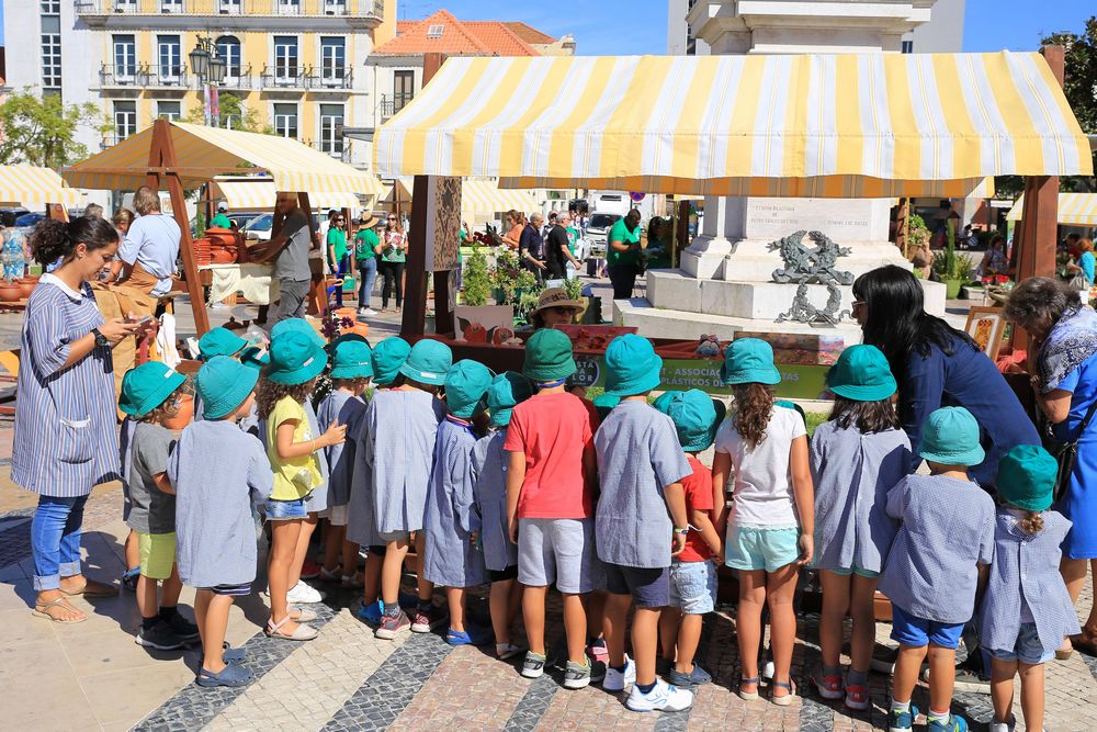 Festa da Flor - inauguração