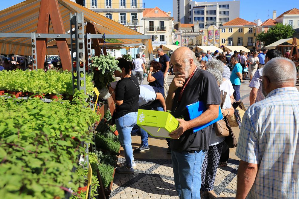 Festa da Flor - inauguração