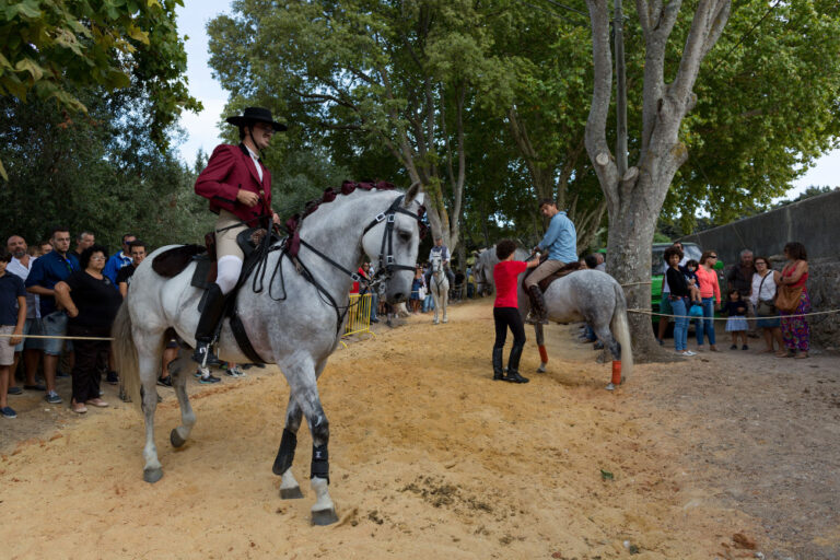 Festa de Nossa Senhora da Saúde - Cavalhadas à Antiga Portuguesa