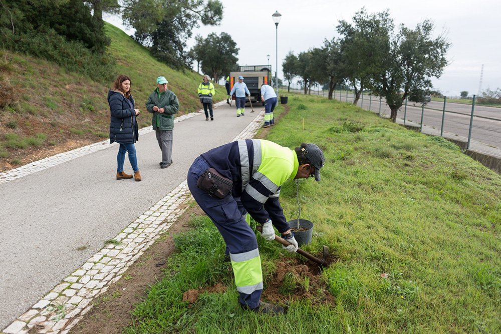 Dia da Floresta Autóctone - Plantação de Árvores