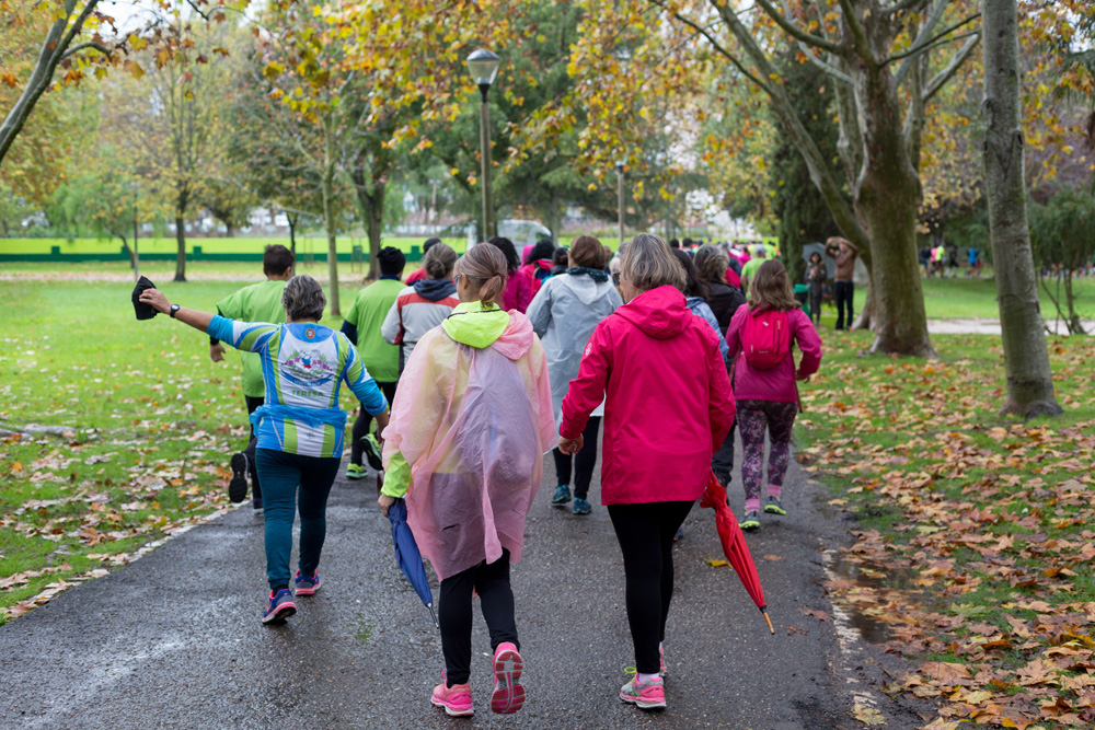 Grande Prémio da Arrábida