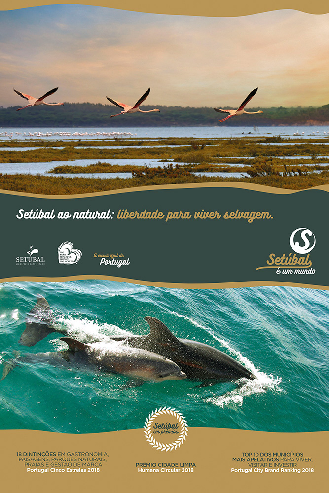 Campanha Turismo 2019