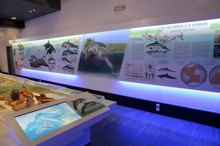 Centro Interpretativo do Roaz do Estuário do Sado