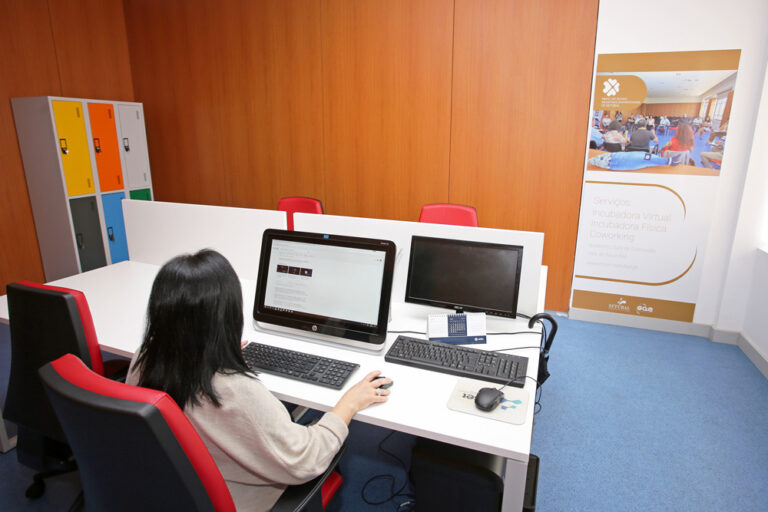 Ninho Novas Iniciativas Empresariais - sala da coworking