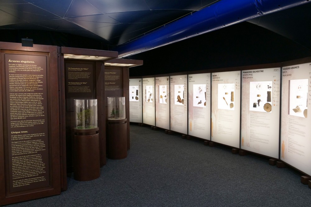 A Floresta Muito Mais do Que Madeira - exposição - Largo José Afonso