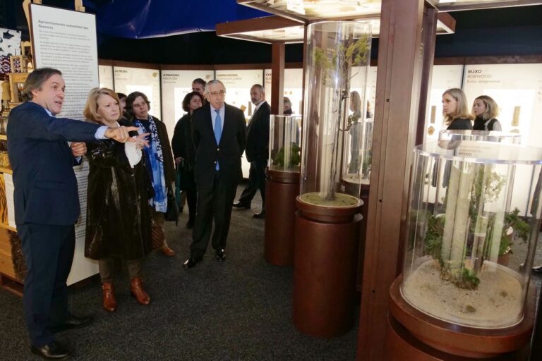 A Floresta Muito Mais do Que Madeira - exposição - Largo José Afonso