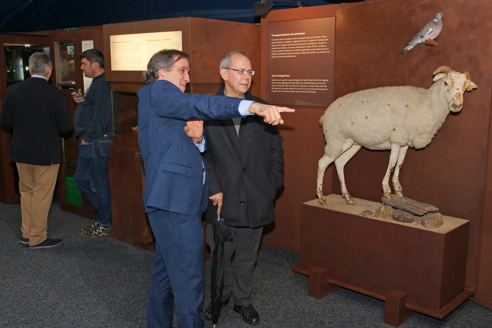 A Floresta Muito Mais do Que Madeira - exposição - Largo José Afonso