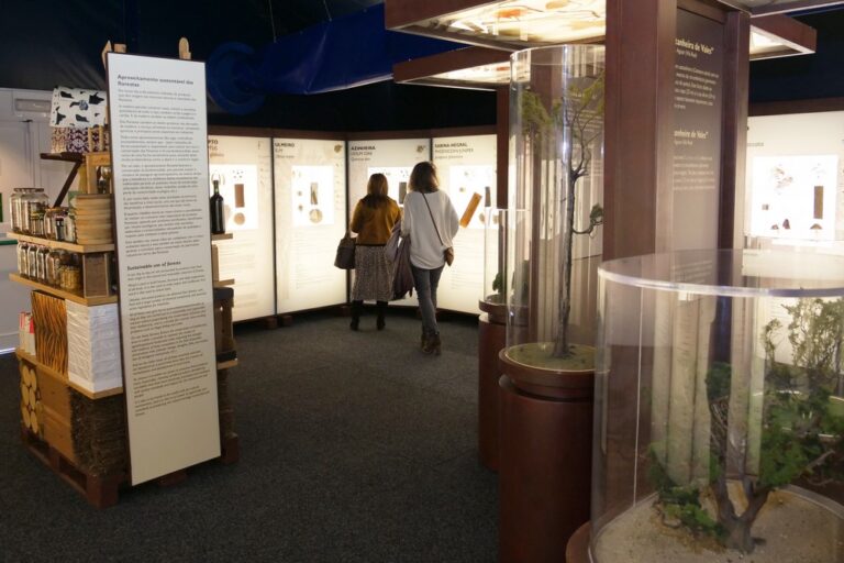 A Floresta Muito Mais do Que Madeira - exposição - Largo José Afonso