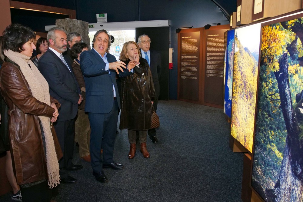 A Floresta Muito Mais do Que Madeira - exposição - Largo José Afonso