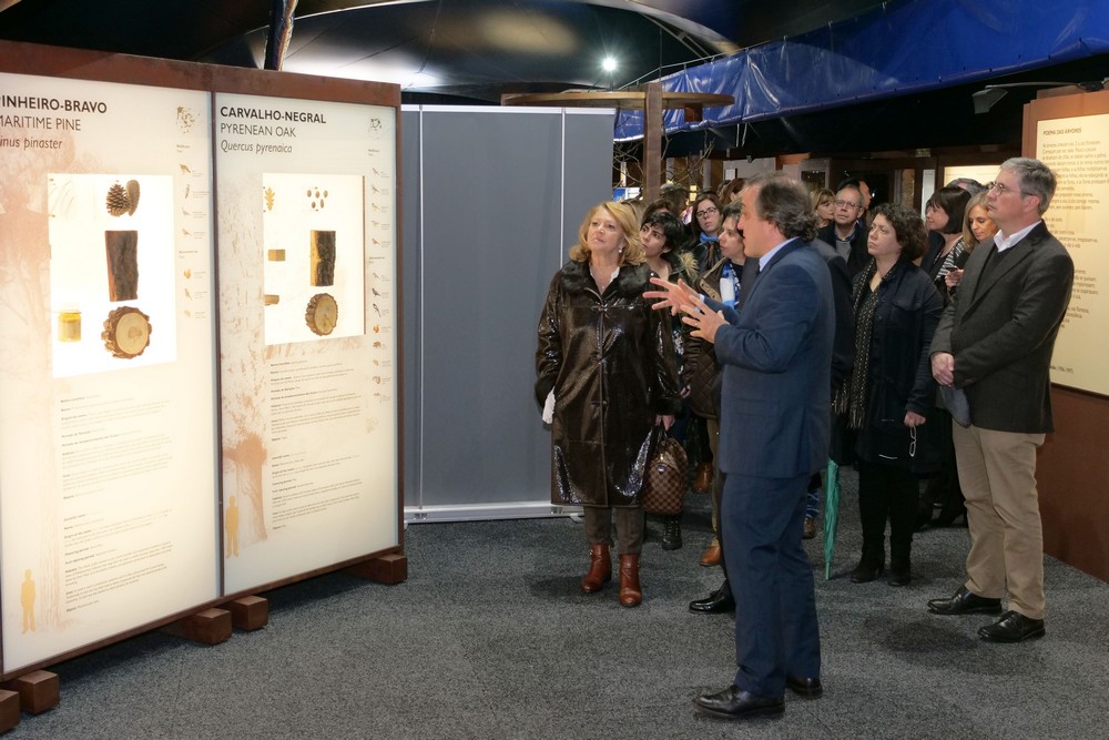 A Floresta Muito Mais do Que Madeira - exposição - Largo José Afonso