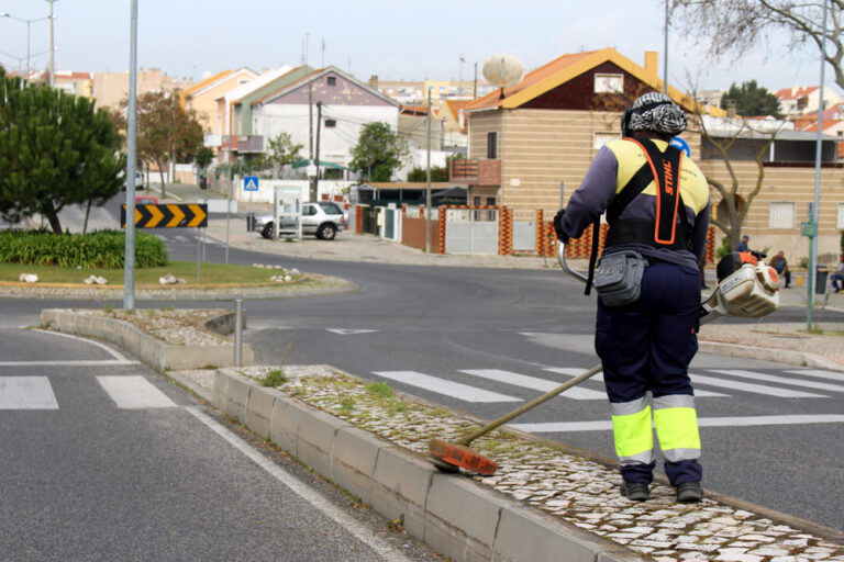 Controlo de infestantes - Junta de Freguesia de São Sebastião