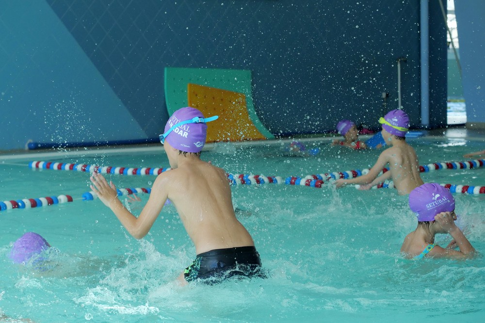 Desporto nas Escolas 1.º Ciclo - Natação – Piscina das Palmeiras