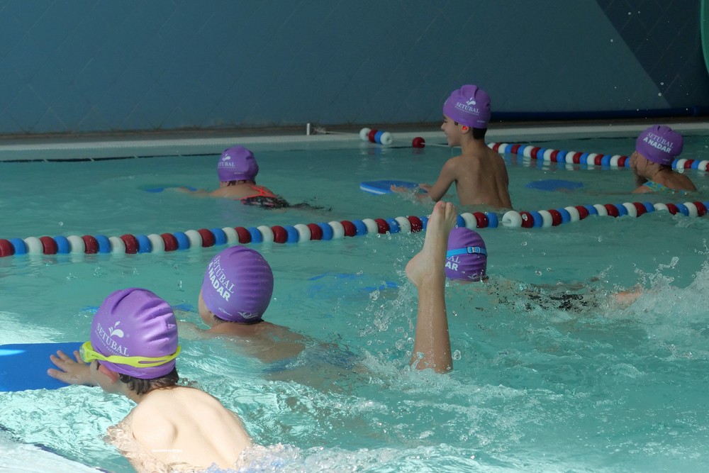 Desporto nas Escolas 1.º Ciclo - Natação – Piscina das Palmeiras