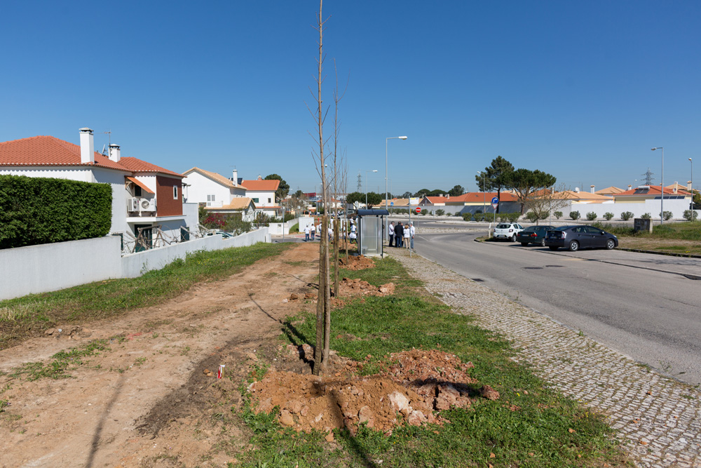 Seja Jardineiro Por Um Dia - Quinta da Amizade