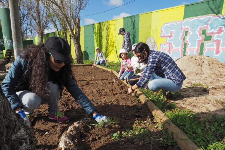 Seja Jardineiro Por Um Dia