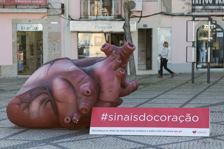 Campanha Sinais do Coração - coração gigante