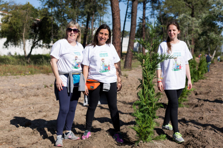 Jardineiro Por Um Dia - Azeitão