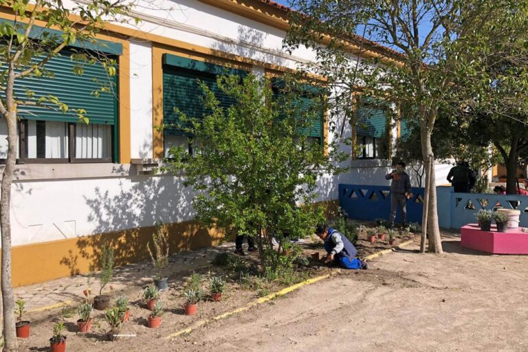 Seja Jardineiro Por Um Dia | Escolas