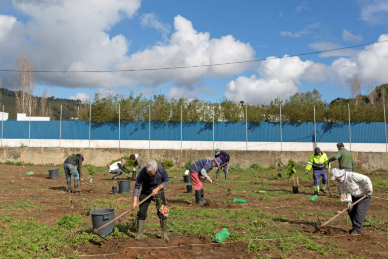Hortas Urbanas de Setúbal