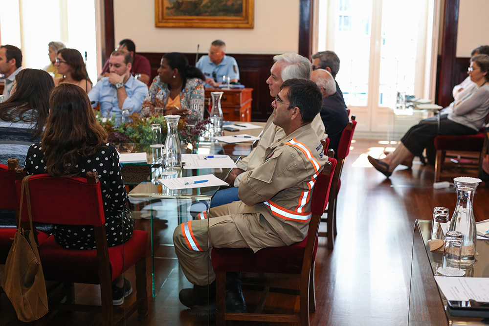 Conselho Local de Ação Social - reunião plenária