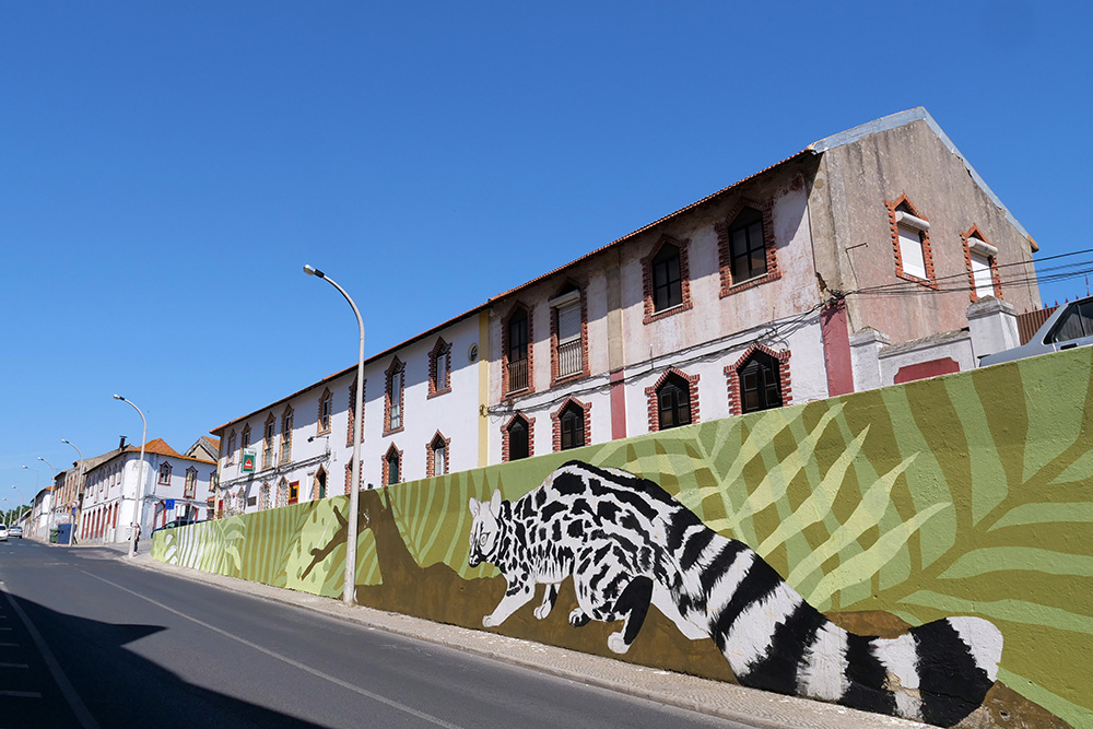 Setúbal Mais Bonita 2019 | Rua António José Batista