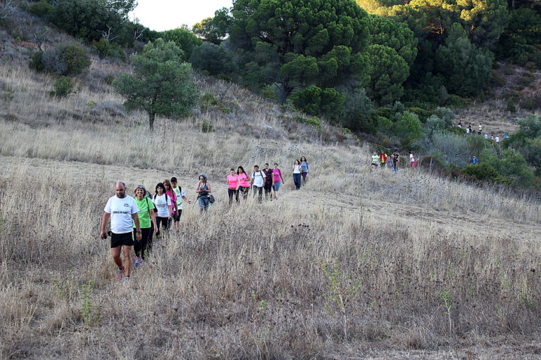 Caminhada Noturna | Foto da Junta de Freguesia de São Sebastião