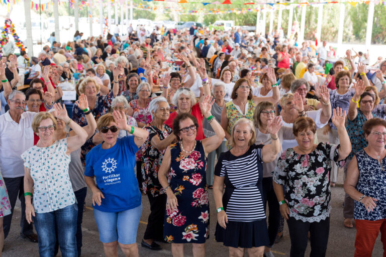 Piquenicão Concelhio 2019