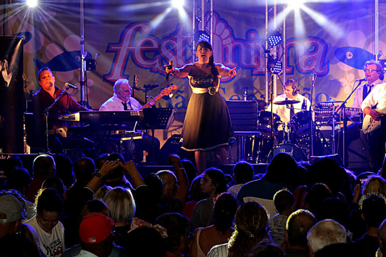 Festanima 2019 | Encerramento | Foto da Junta de Freguesia de São Sebastião