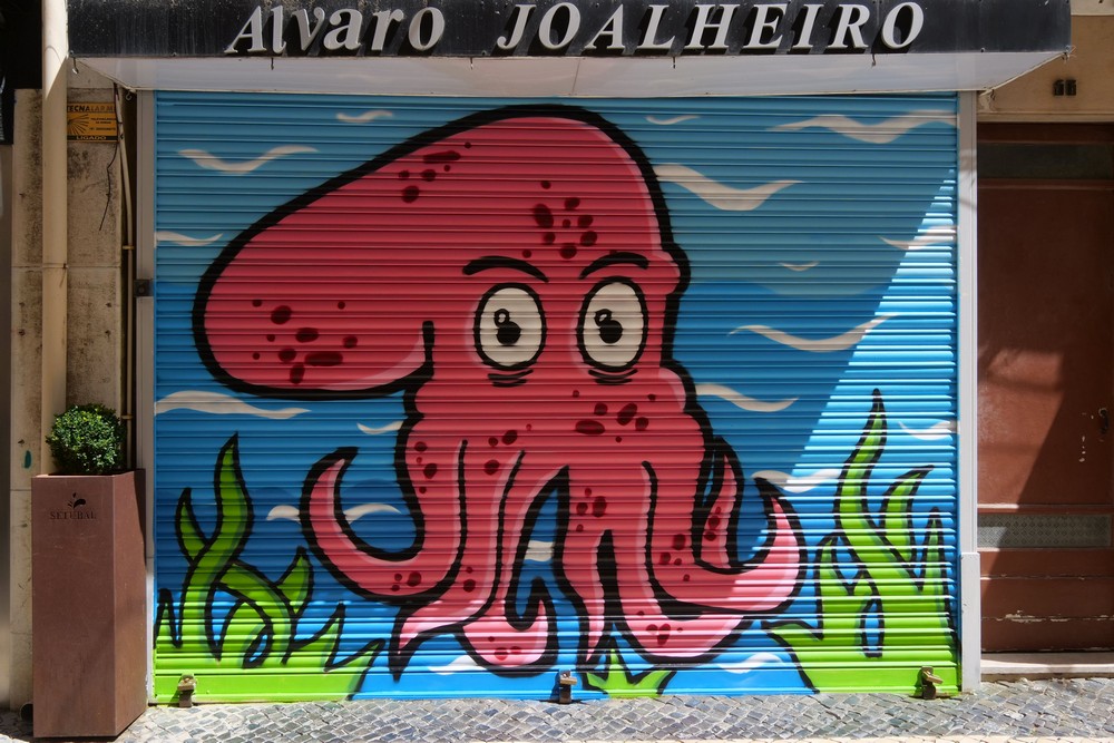 Montras com Arte - Baixa de Setúbal - primeira ação