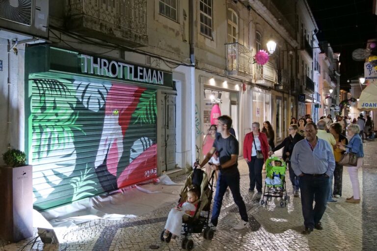 Montras com Arte - Baixa de Setúbal - primeira ação