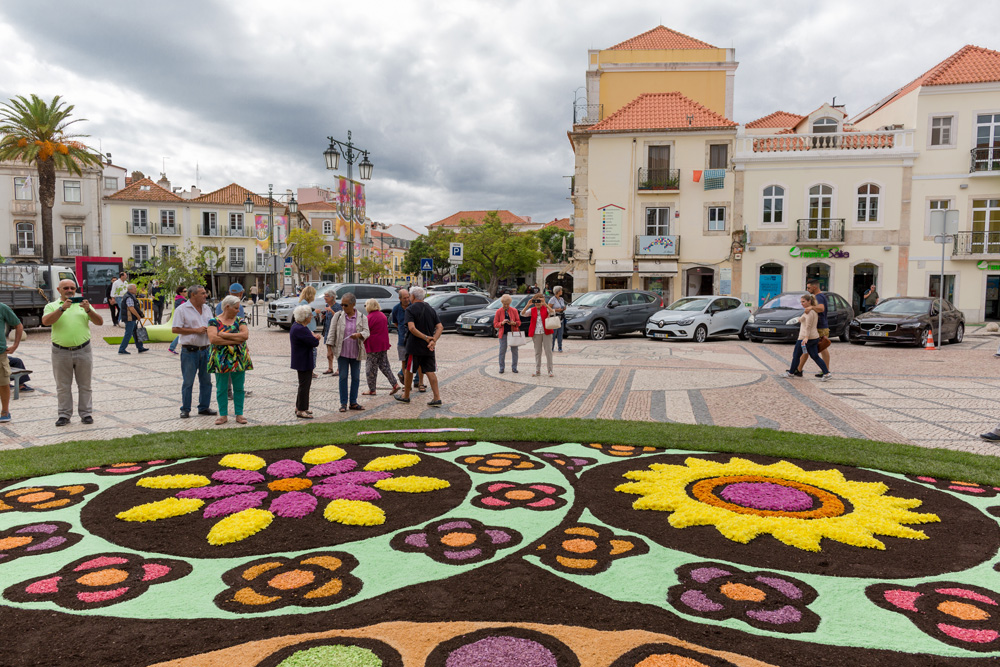 Festa da Flor 2019 | Mandala