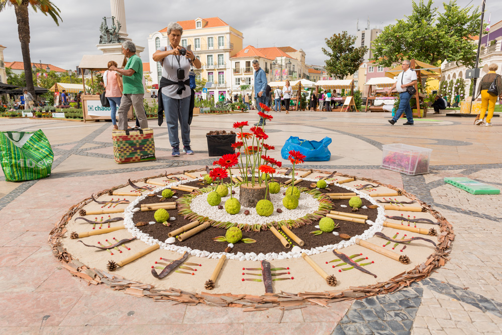 Festa da Flor 2019 | Arte efémera