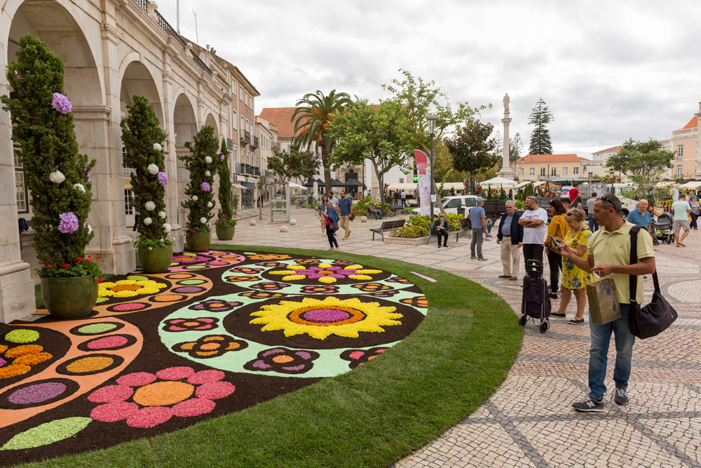 Festa da Flor 2019 | Mandala