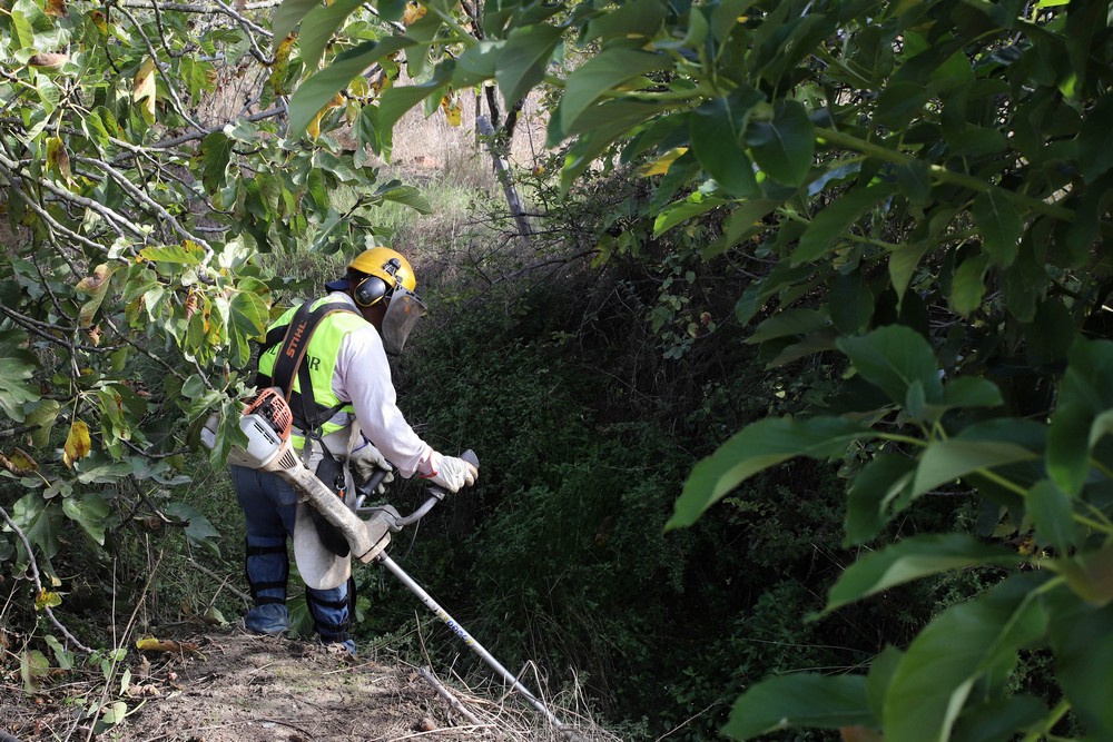 Limpeza de valas e linhas de água - 2019
