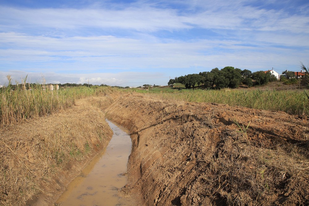 Limpeza de valas e linhas de água - 2019