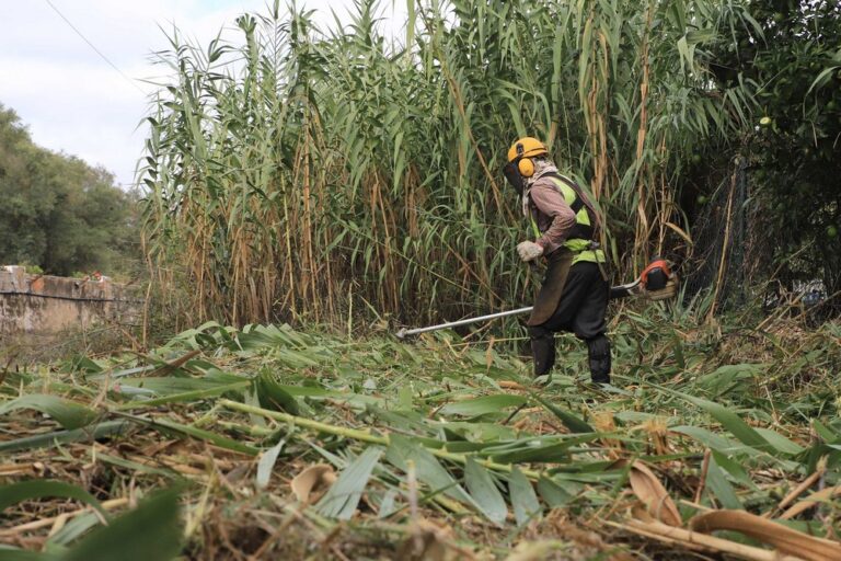 Limpeza de valas e linhas de água - 2019