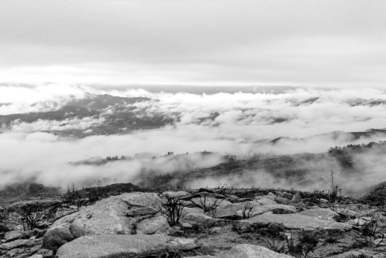 Filme Reino Maravilhoso Carlos Silveira