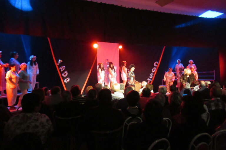 Seniores no Teatro | Fado Low Cost