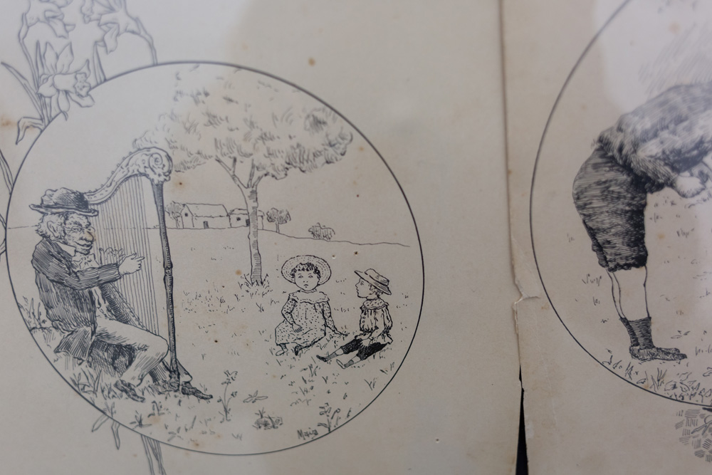 Agripino Maia Ilustrador - exposição