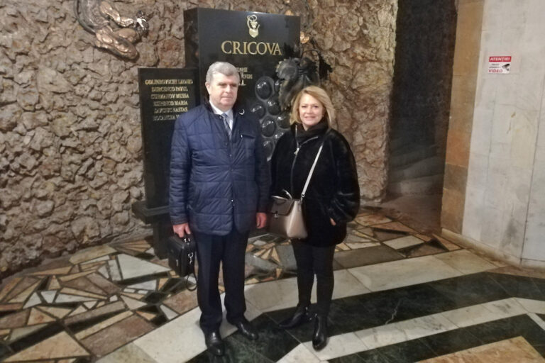 Cooperação com Cricova - vinho