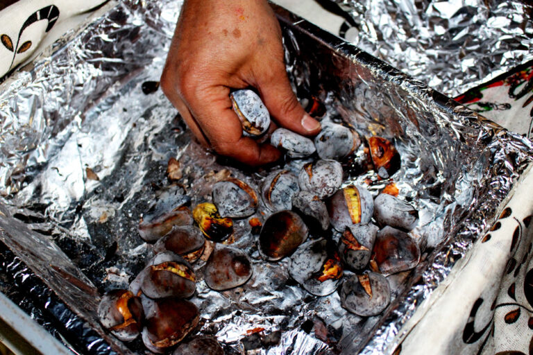 Feira da Castanha 2018 - Jardim do Monte Belo