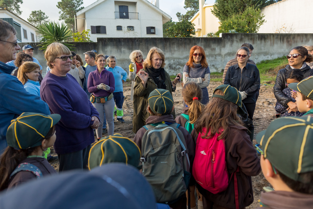 Plantação de árvores Pinhal de Negreiros