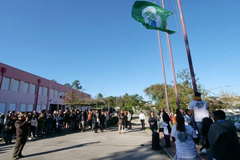 Hastear da Bandeira Eco-Escolas - Escola D. Manuel Martins