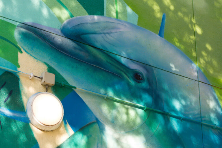 Mês dos Riscos e das Alterações Climáticas - Mural Escola Básica de Aranguez - Smile