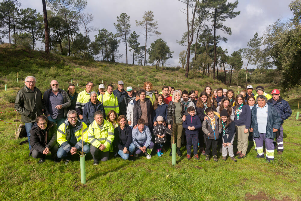 Plantação de árvores - Pinhal de Negreiros