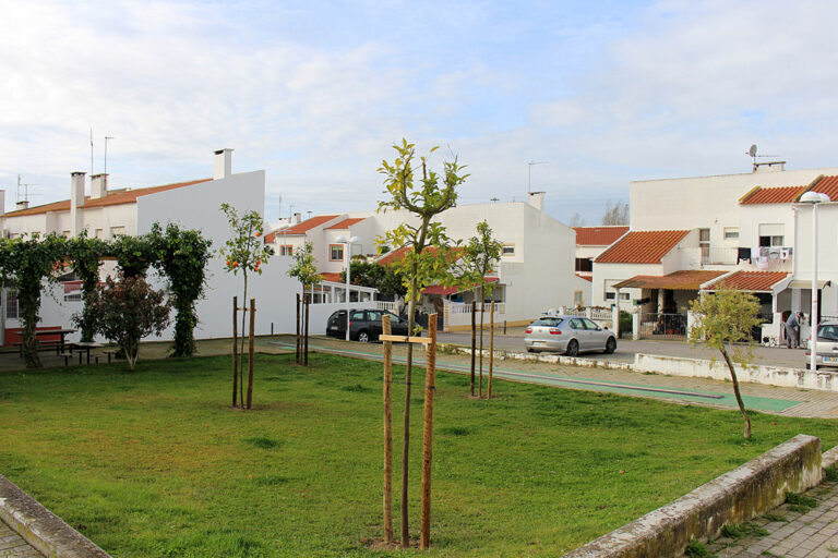 Espaço verde no Bairro das Manteigadas - platanção de laranjeiras